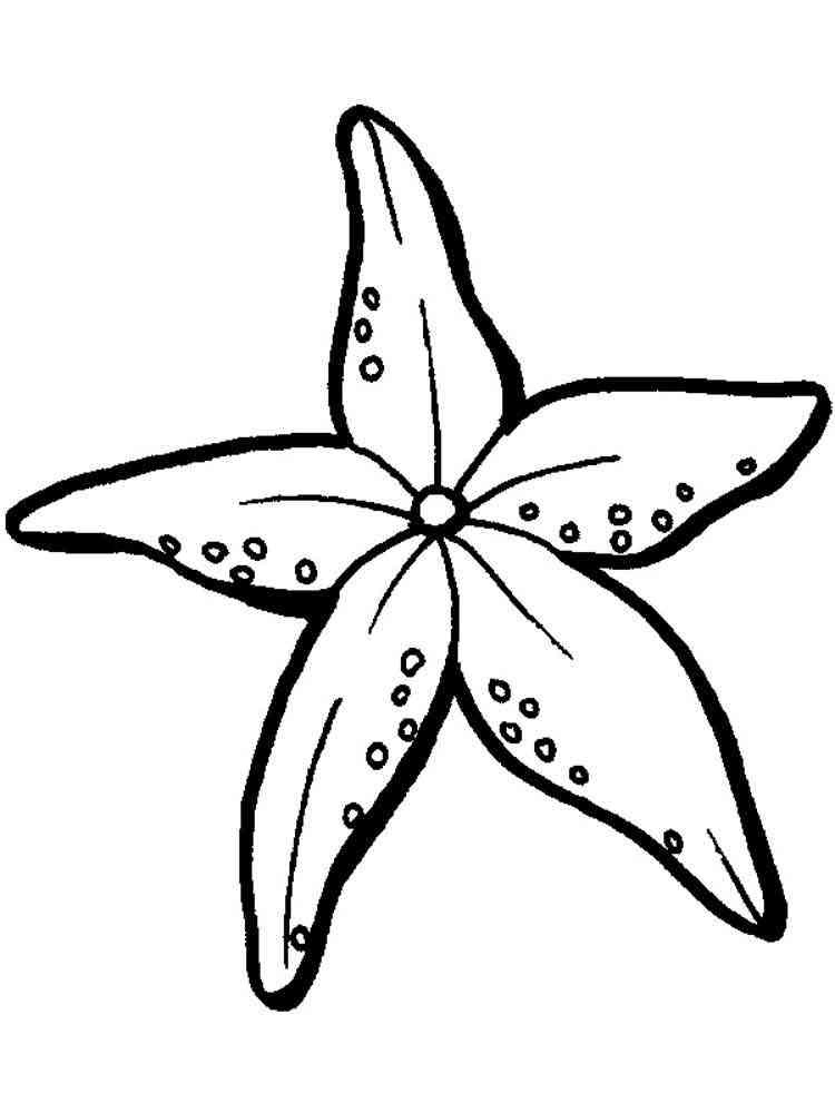 Starfish coloring pages. Download and print Starfish coloring pages.